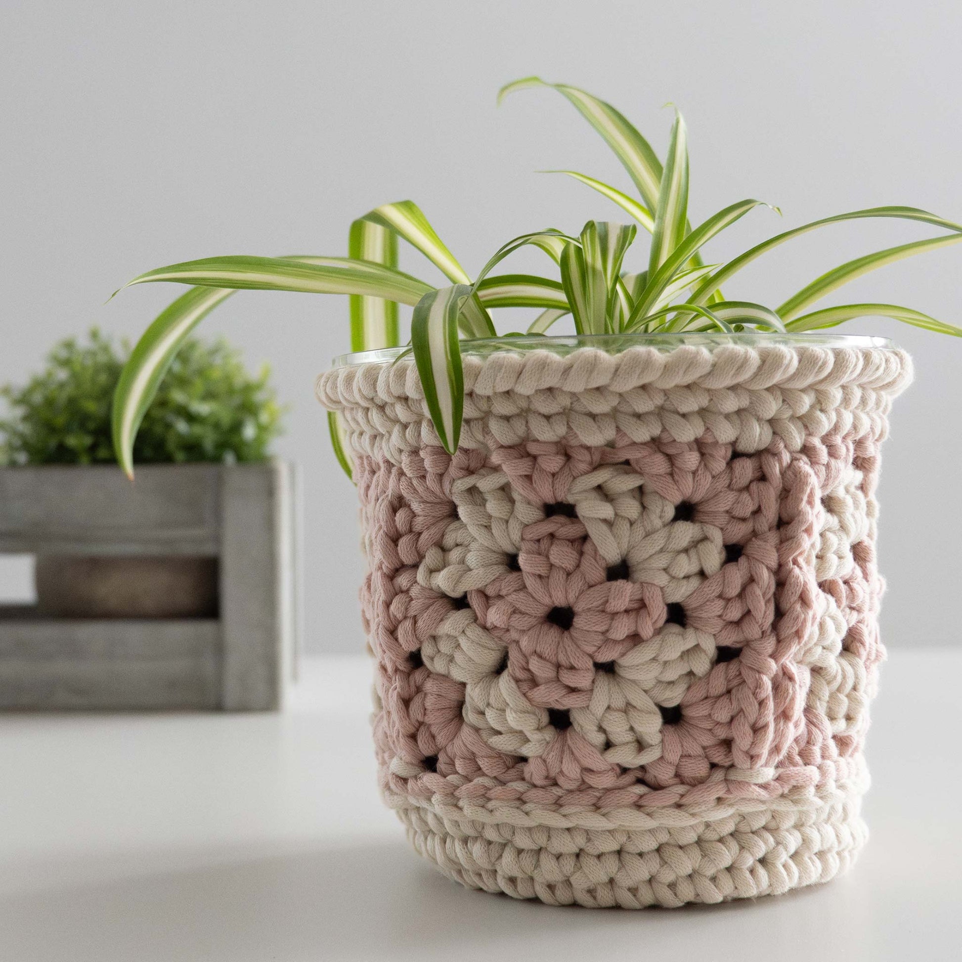 cover pot plant Crochet Granny Square Plant Pot Cover – B.Hooked
